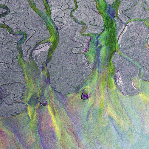 An Awesome Wave cover